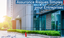 Assurance Risques Simples pour Entreprises - Protégez vos Locaux contre Incendies et Vols